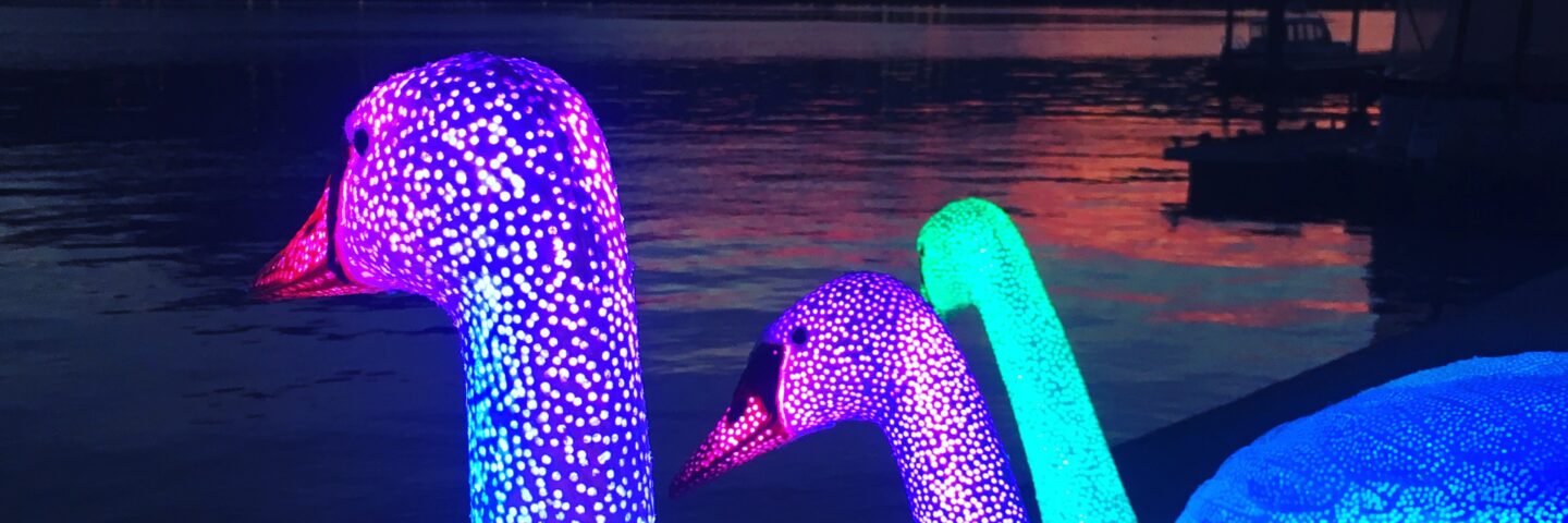 An image of three fibreglass swans on a lake. They are lit from inside in purple and blue. There are mountains and a sunset in the background. 