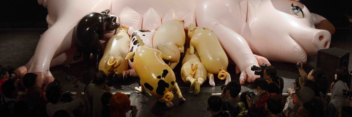 A giant latex sow is suckled by 6 latex piglets. 